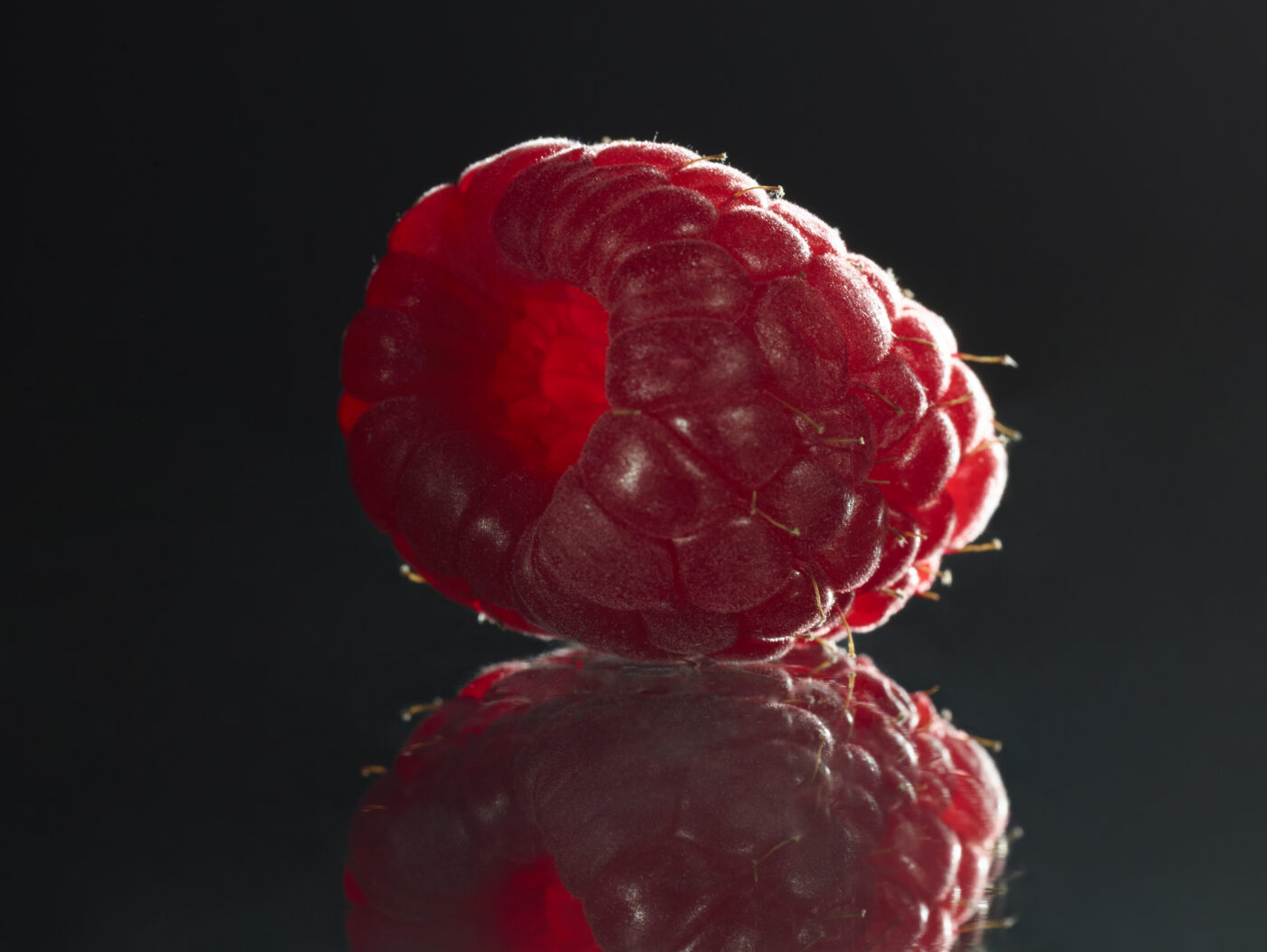 framboise - NessyDes - Inès Desroches